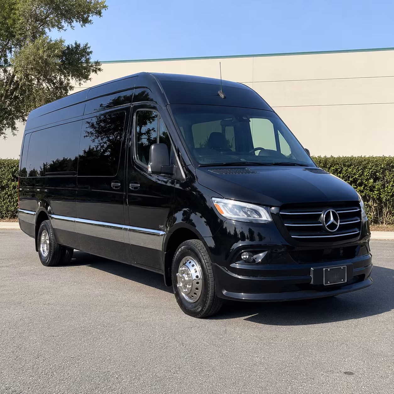 12 passenger sprinter van